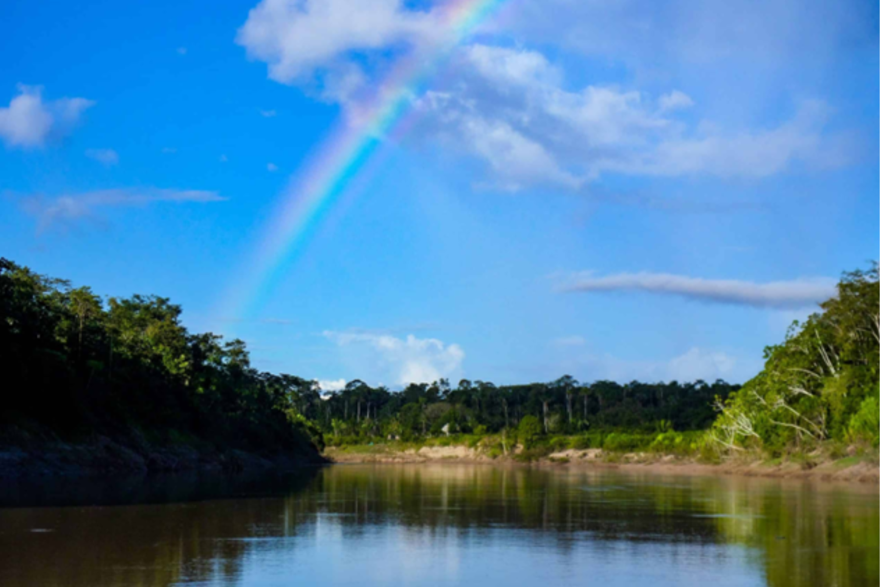 Envira Amazonia Project