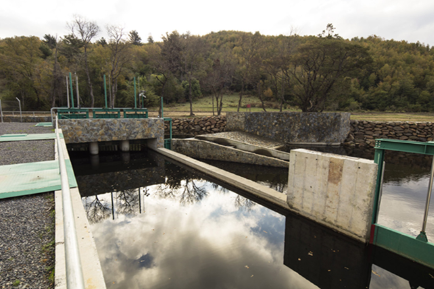 Picoiquen River Project